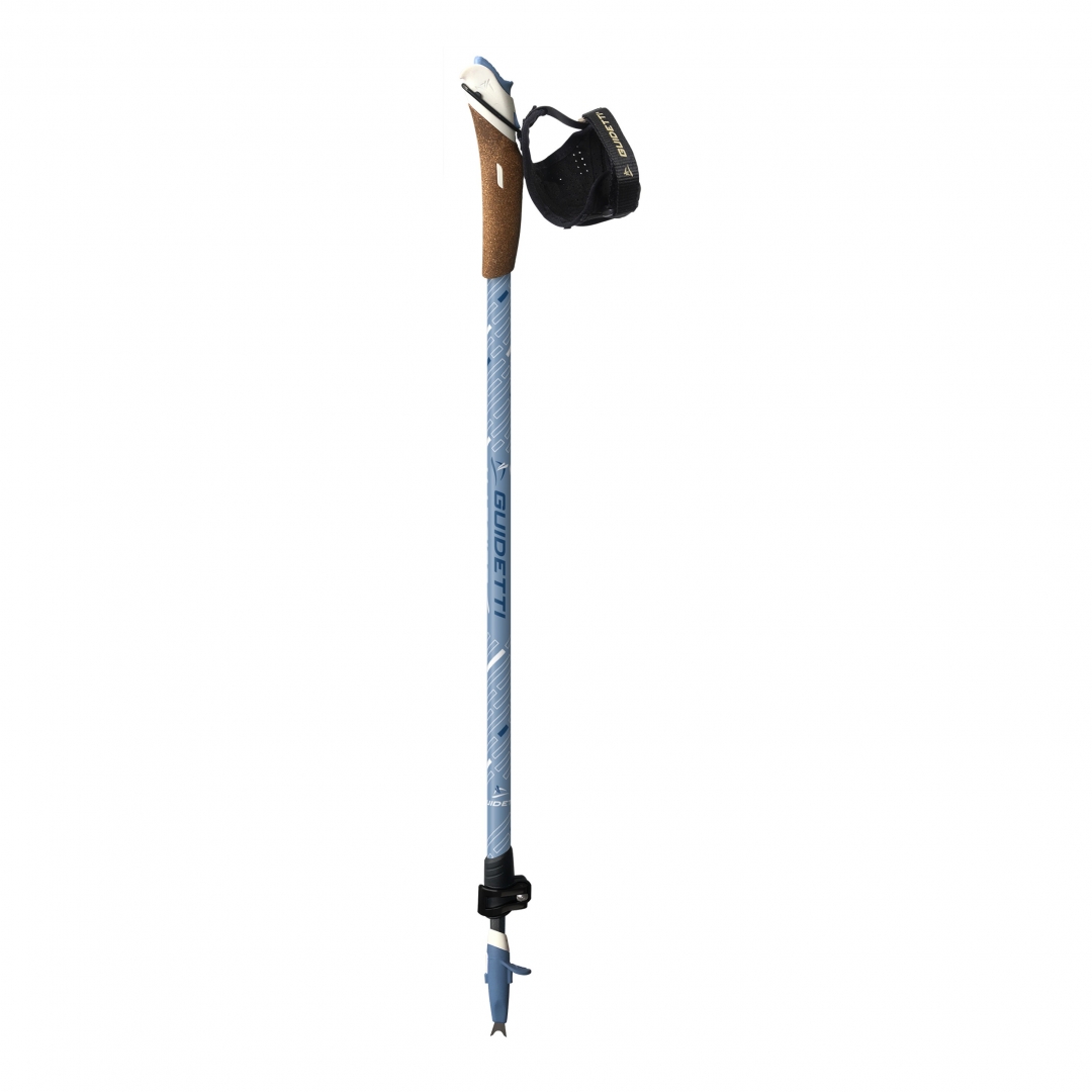 Adjustable walking poles hotsell