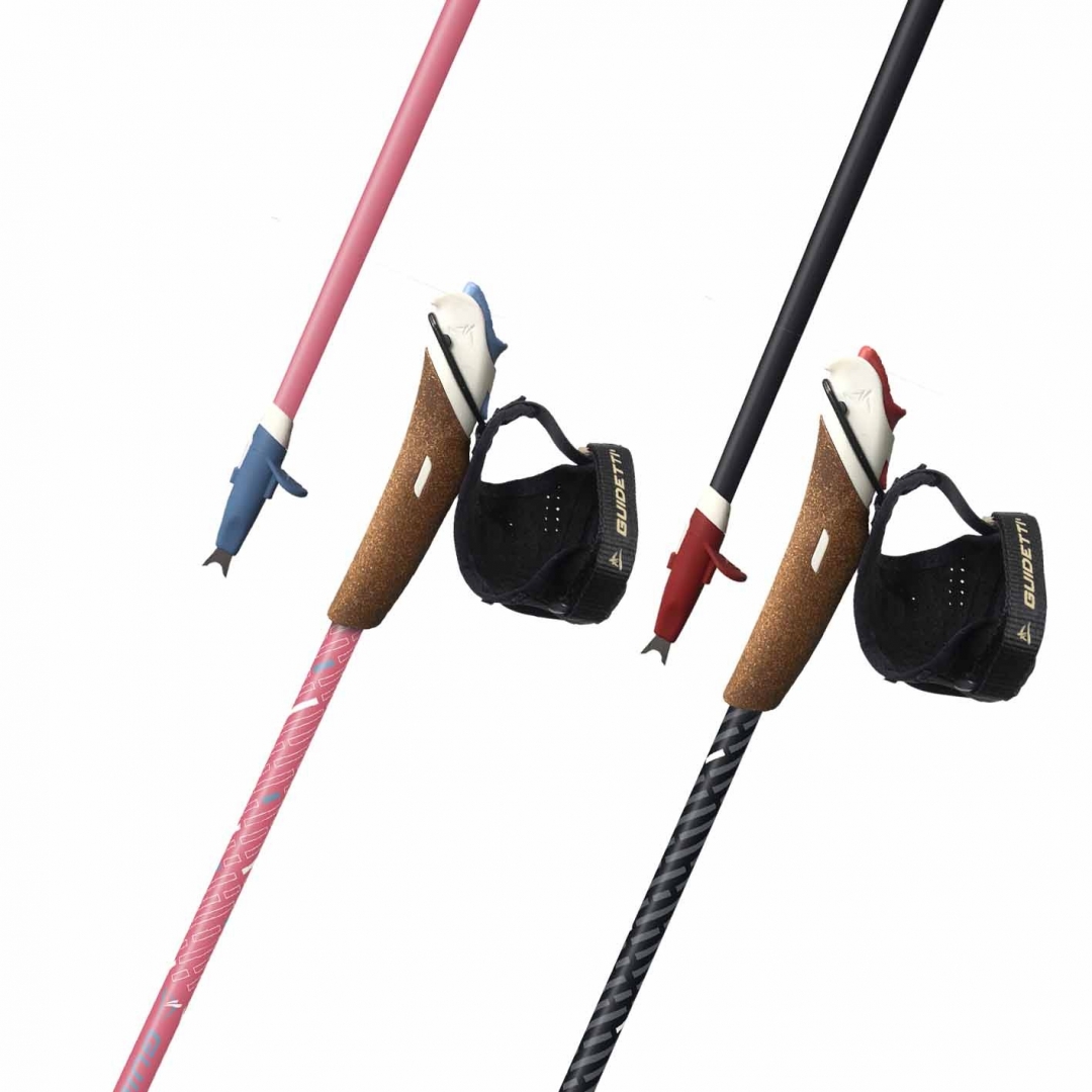 Nordic walking poles Guidetti Vent des Fjords UT70 Steppe et Polaire